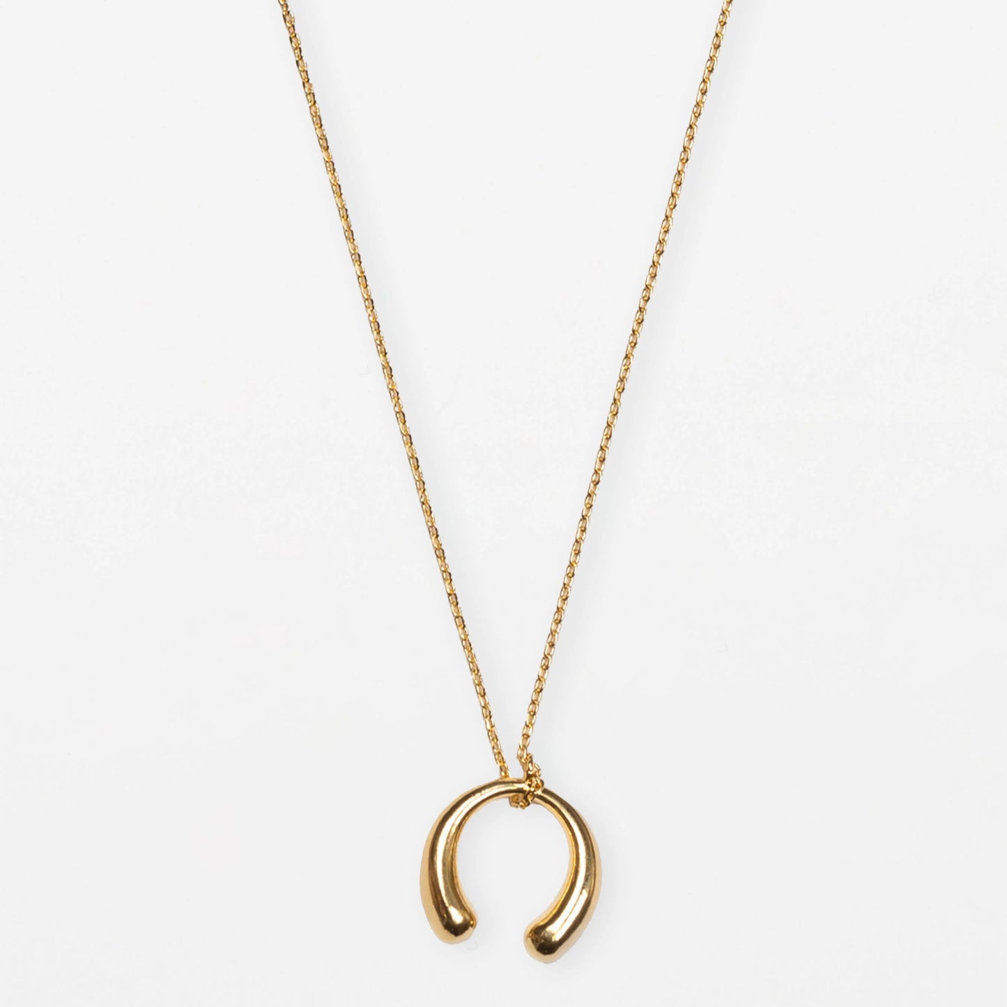 Gold Horse Shoe Necklace