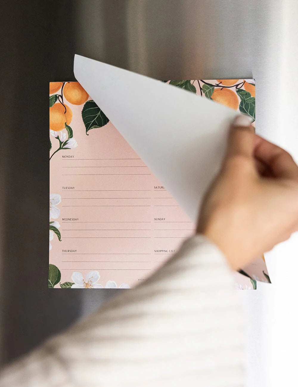 Meal Planner Notepad Peaches