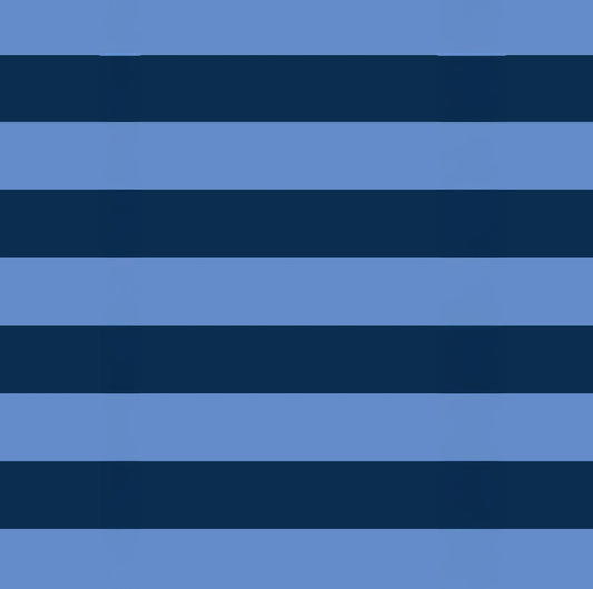 Zip Medium Tote - Blue Stripe