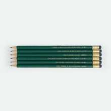 Load image into Gallery viewer, Pencil Set - Plant Addict