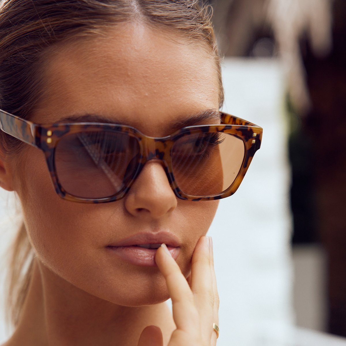 Anvil Turtle Sunglasses